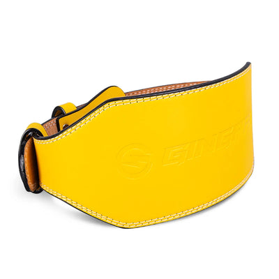 Weight Lifting Belt